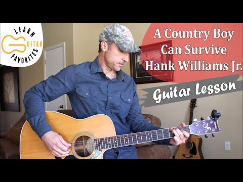 A Country Boy Can Survive - Hank Williams Jr