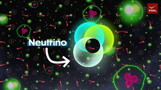 Newswise:Video Embedded closing-in-on-the-elusive-neutrino
