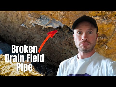 Septic Drain Field Failure: High Cost, Big Problem