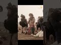 Adventures Of Srimannarayana Sunshine Movies Southmovie2021 Srimannarayana Rakshitshetty Viral