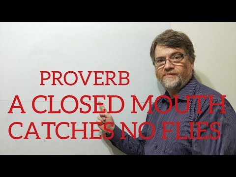 English Tutor Nick P Proverbs (146) A Cliosed Mouth Catches No Flies