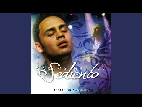 Te Seguire - Carlos Manuel