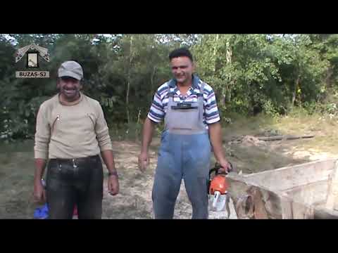 BUZAȘ-SJ (2018) - Tăiatul lemnelor la composesorat