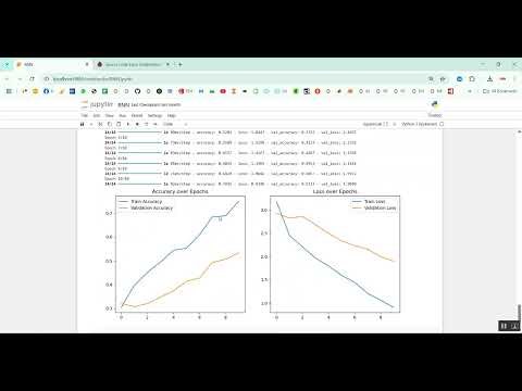 Spinal Cord Injury Detection in Python Projects