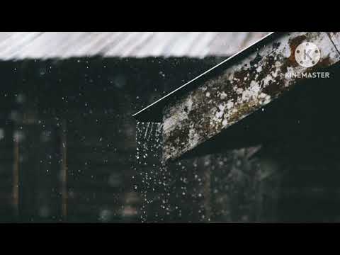 Rain sounds of sleeping 😌 rain thunder storms of house