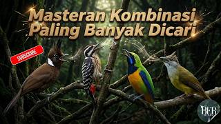 Download lagu TEMBAKAN ISTIMEWA CUCAK CUNGKOK vs PELATUK SAMPIT vs KAPAS TEMBAK vs CILILIN MASTERAN KOMBINASI mp3 Download lagu TEMBAKAN ISTIMEWA CUCAK CUNGKOK vs PELATUK SAMPIT vs KAPAS TEMBAK vs CILILIN MASTERAN KOMBINASI mp3