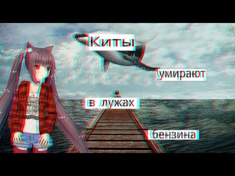 Киты умирают в лужах. Грустный трек с китом. Найти выход киты. Киты умирают в лужах. Киты тонут в лужах бензина.