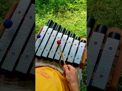 Svaram Tarang 1" 8-Bar Resonators (see video) image 5