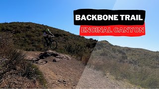 Ride down Backbone Trail - Encinal Canyon down to the parking lot