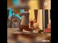 Chicken Little Es Hoy Es Hoy Stuart Little Español Latino HD Wmv YouTube Mp4
