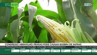 Miniatura do vídeo