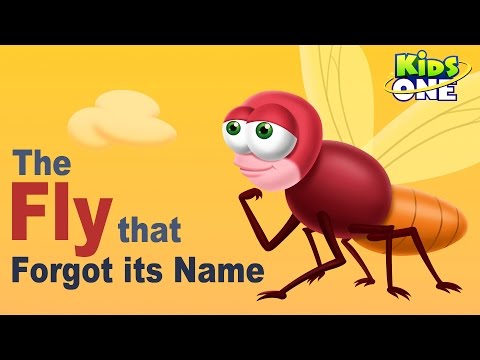 The Fly that Forgot It's Name | Funny Short Story For Kids