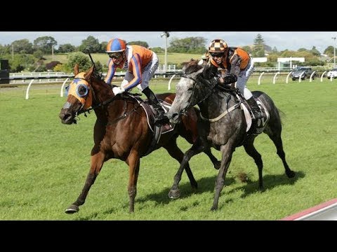 2019 ARC Bonecrusher New Zealand Stakes