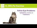 Feline Eye Problems | Symptoms & Causes | Dr. Bill's Pet Nutrition | The Vet Is In