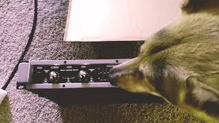 Video thumbnail for Unboxing- Peavey Headliner 1000 watt bass amp head by Stuper Dave