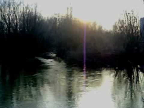 Romeo Bizarre - Low Tide