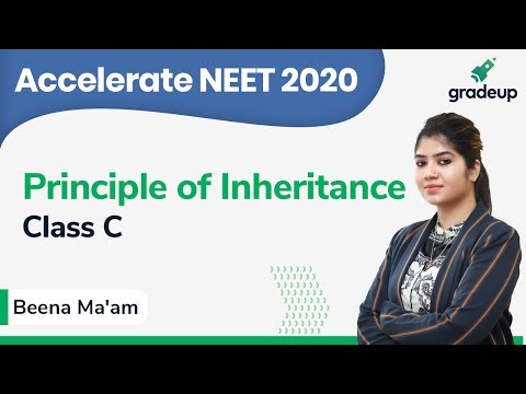 NEET 2020 | Class 16 | Botany  | Principle of Inheritance Video
