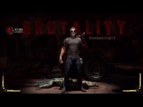 MK11: Next Stage Brutality