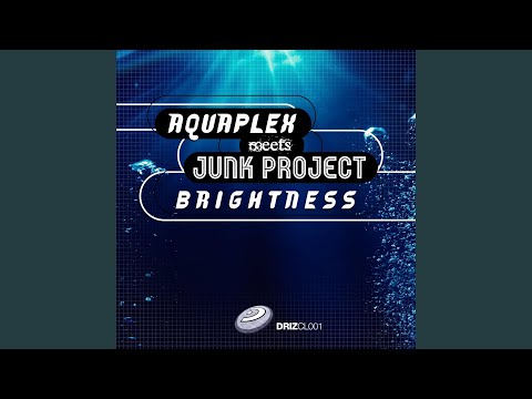 Brightness (DJ Sakin & Friends Mix)