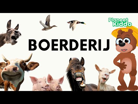 🐖 Boerderijdieren Leren In Het Nederlands | Voor Peuters En Kleuters | Learn Farm Animals in Dutch