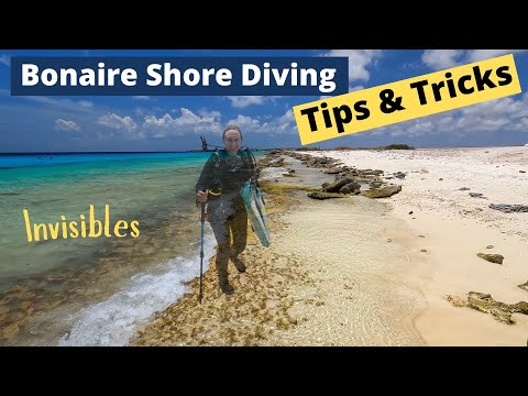 Bonaire Shore Diving Tips & Tricks - Invisibles
