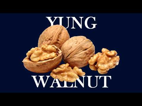 yung walnut - yuh 2