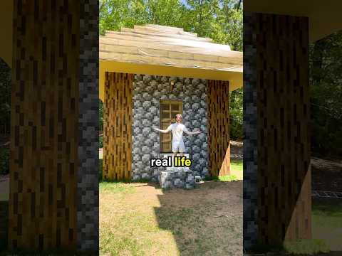 I Made a Minecraft Village