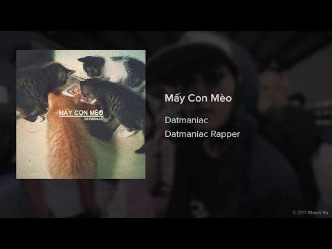 [2G17] Mấy con mèo - Datmaniac