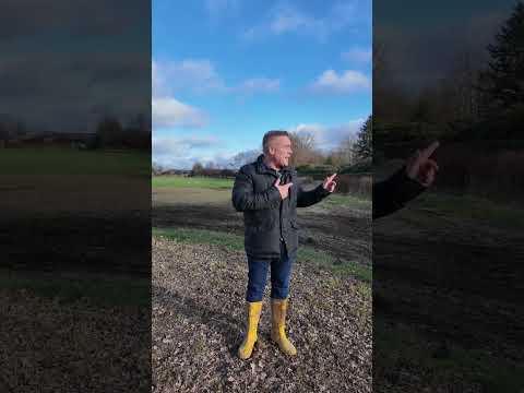 Keine RIESEN Stromtrasse durch Willinghusen!