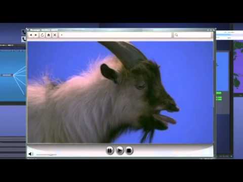 GOATS - TGW - NSA - SNOWDEN