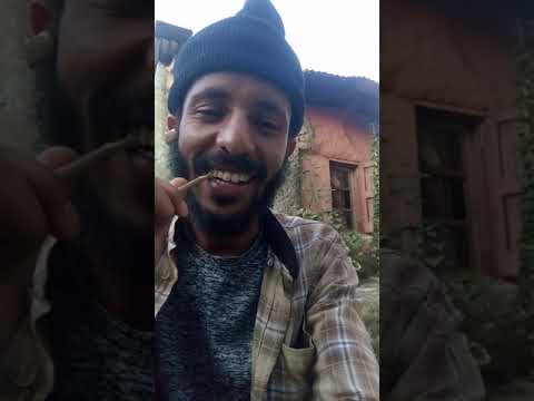 አንቺየዋ አውጊኝ ላውጋሽ