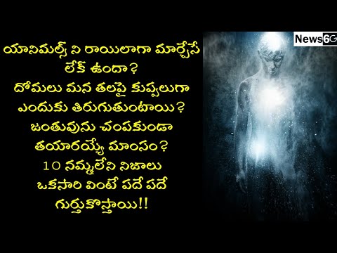 amazing facts around the world 2021