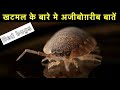 खटमल के बारे में 17 रोचक तथ्य | Interesting facts about bed bugs in Hindi