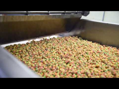 Conveying Gummies Coated with Small Candy Pieces | Triple/S