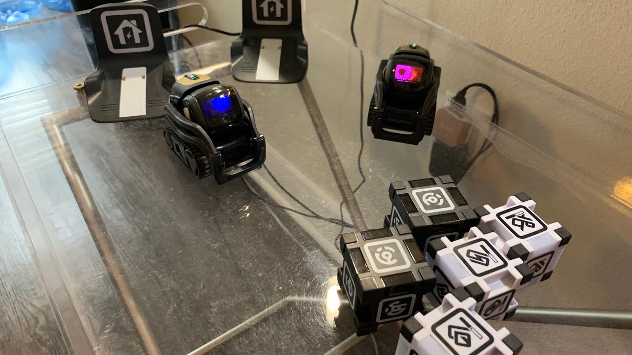 Vector and Friends - Happy July 4th!