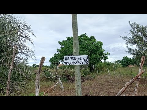 Tou vendendo , no interior de Serrinha Bahia, chamado Lamarão. Perto da cidade. 145cp , por 15 de.