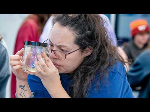 Hands-on learning in the Herpetology Lab