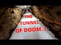 Snowboarding the Infamous Tunnel Run - Alpe d'Huez - 4K - Malcolm Moore Snowboarding the Infamous Tunnel Run - Alpe d'Huez - 4K