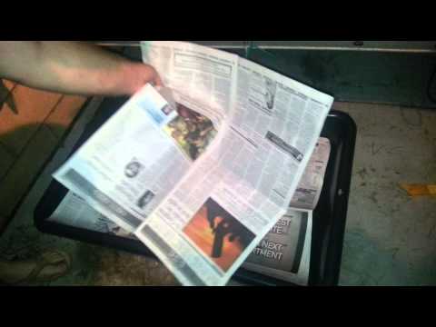 Putting Paper on Worm Farm