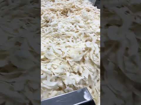 Dry Coconut Chips