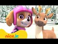 PAW Patrol Rescue Baby Animals In The Snow ️ 10 Minutes Nick Jr