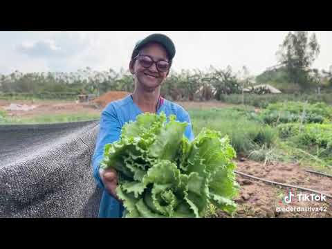 Minha cidade rio crespo, cheguei em 12 /08/1984. O dia do meu aniversário  tinha 14 anos de idade