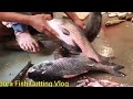 Amazing Big Catla Fish Cutting Skills In Tripura Fish Market || Expert Fish Cutter In Tripura ||