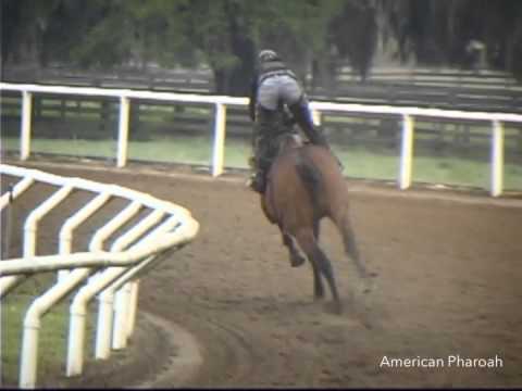 American Pharoah