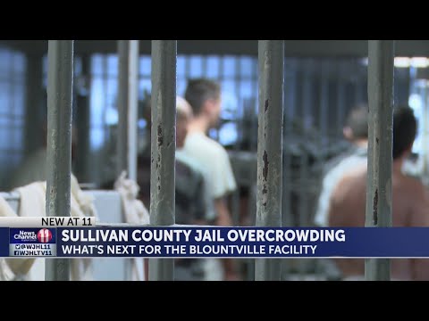 Sullivan County Jail Tn