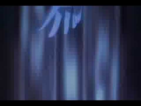 Kaleido Star AMV - Butterfly