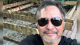 Rebuild my backyard deck