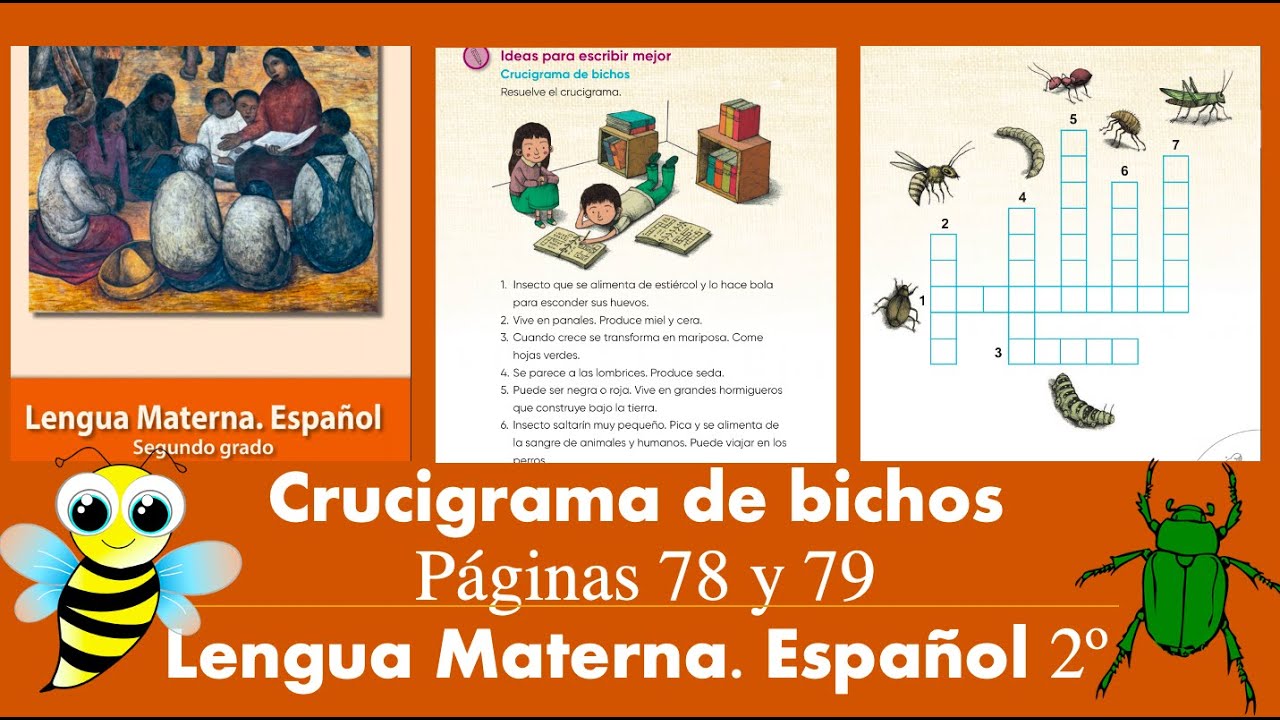 ✅Crucigrama de bichos 🐛2º Páginas 78 y 79 Lengua materna Español