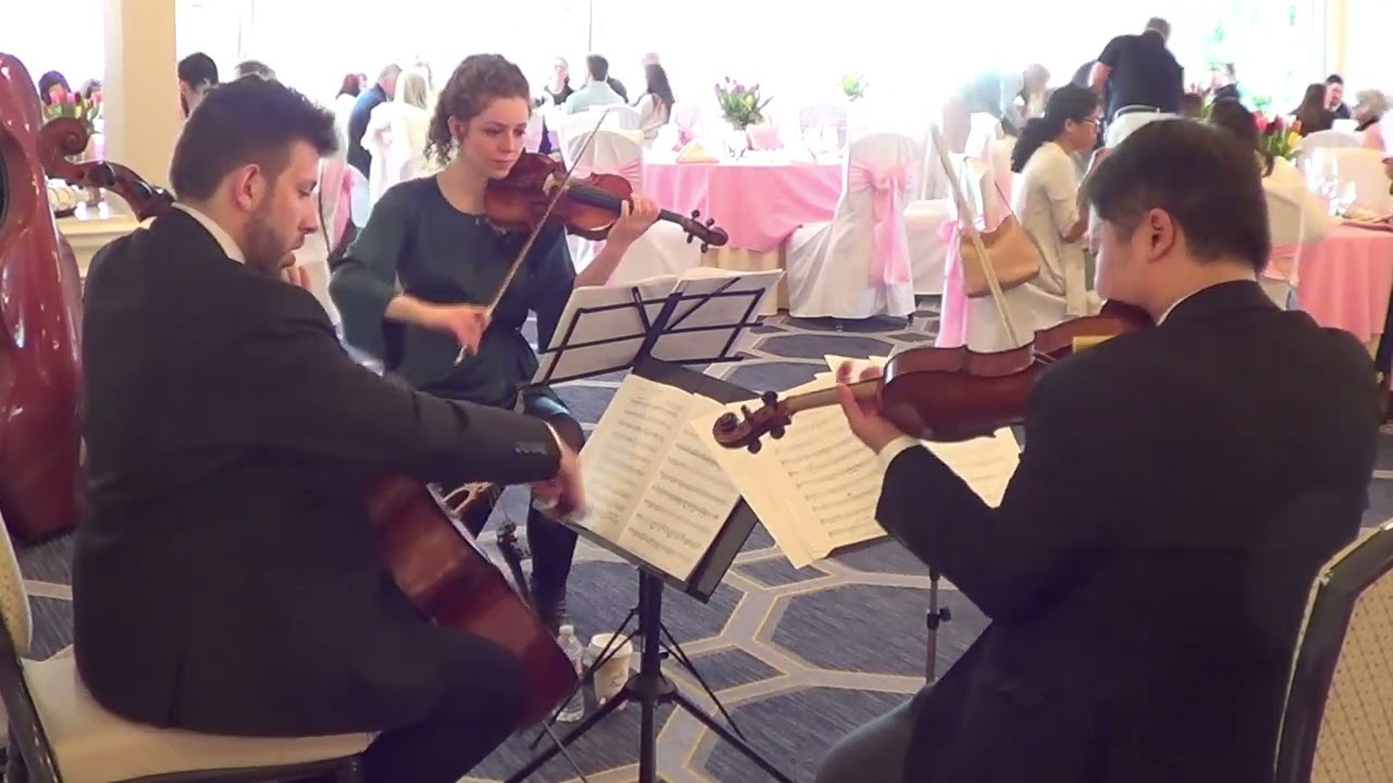 Promotional video thumbnail 16 for Xinou Wei Strings