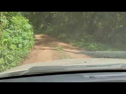 MARGENS DO RIO PIQUIRI REGIÃO DE LARANJAL PARANÁ 